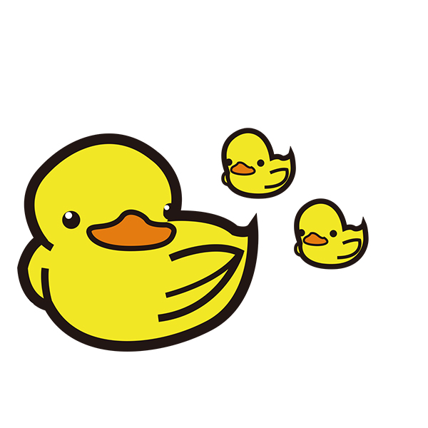 �����p�n